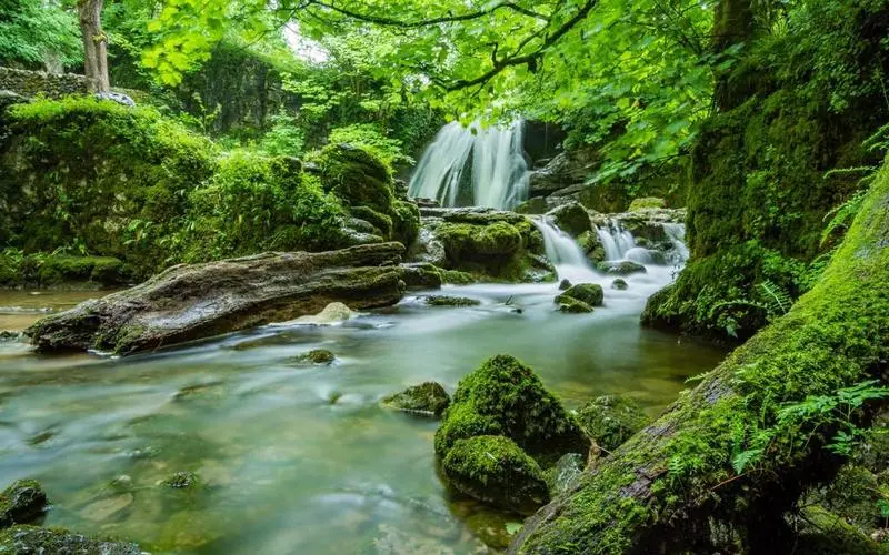 高效高标准